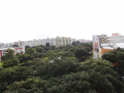 Blk 206 Tampines Street 21 (Tampines), HDB 3 Rooms #161668772